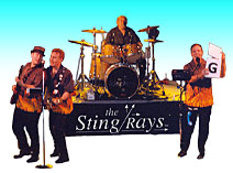 The StingRays