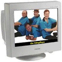 StingRays' Screensaver